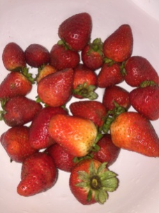 Make Strawberries Last 1