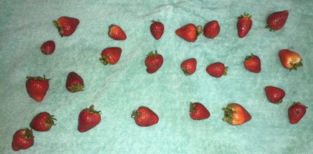 Make Strawberries Last 2