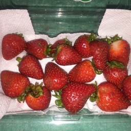 How To: Make Strawberries Last