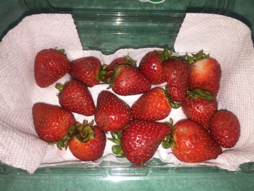 Make Strawberries Last 5